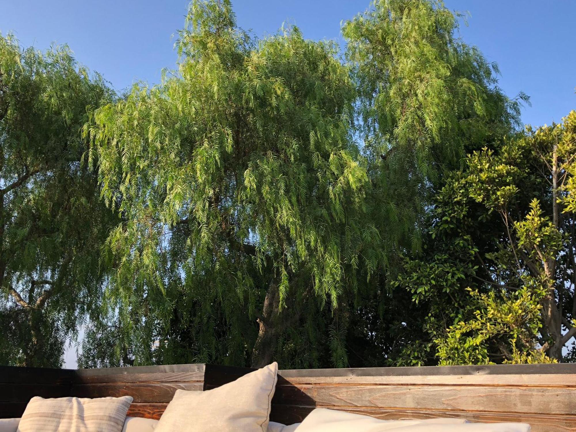 Appartamento Venice Beach Two Bedroom Rooftop House With Parking